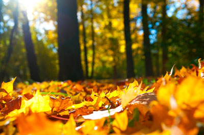 September & Transitions